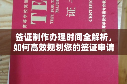 双桥签证制作办理时间全解析，如何高效规划您的签证申请流程